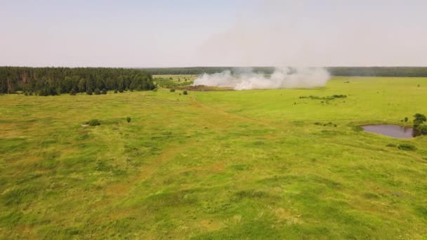 Luftaufnahme, Drohnenabschuss, Feuer auf dem Feld, trockene Grasverbrennung. — Stockvideo