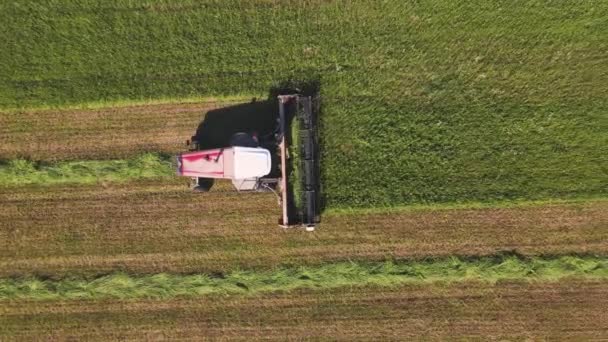 Aerial view of the harvester in the field, mows the grass, lays it in a row. — Stock Video
