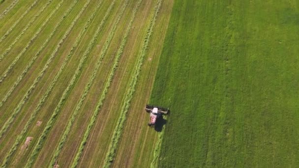 La cosechadora funciona sin problemas y corta la hierba en filas, una hermosa vista aérea. — Vídeos de Stock