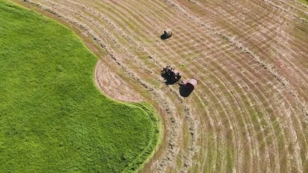 Traktorn står på fältet, samlar den klippta hö i balar, antenn vy — Stockvideo