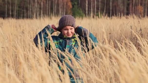 De jongen in het hoge gras kijkt naar de camera. — Stockvideo