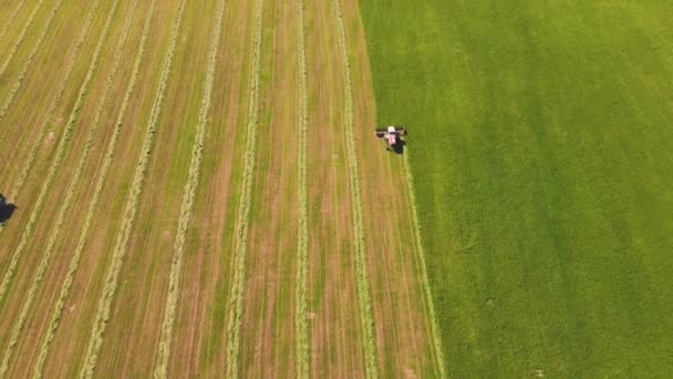 Aerial panorama of agricultural land, a combine is working below. — стоковое видео