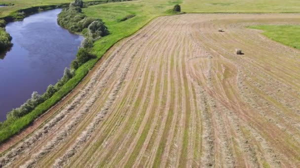 Agricultural field with bales of straw next to the river, aerial view. — стоковое видео