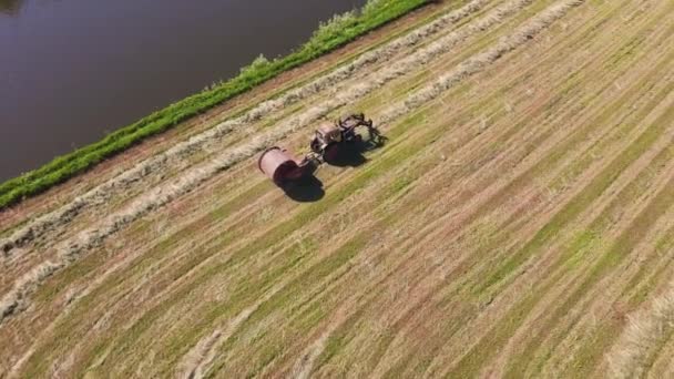 Nice aerial view of the tractor in the field collecting the cut grass in bales. — Stock Video