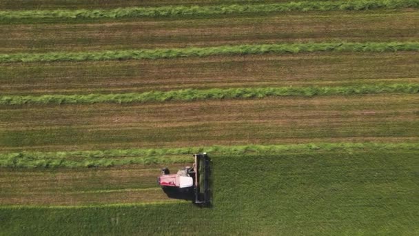 The harvester goes fast and mows the grass, a beautiful aerial view. — ストック動画