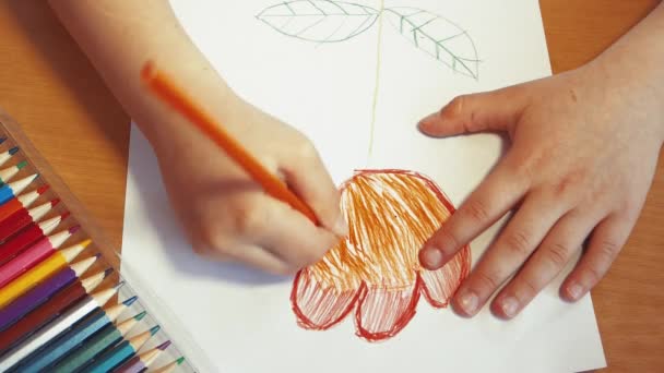 Una mano de niño decora una flor de tulipán con lápices de colores. — Vídeos de Stock