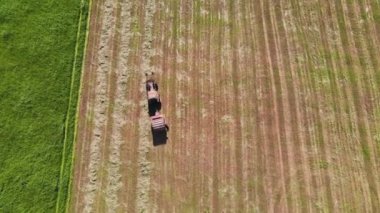 Bir traktör sürüyor ve biçilmiş samanı balyalara, hava manzarasına topluyor..