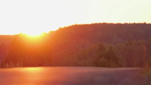 Slunce při západu slunce, barevné večerní světlo se odráží na asfaltu. — Stock video