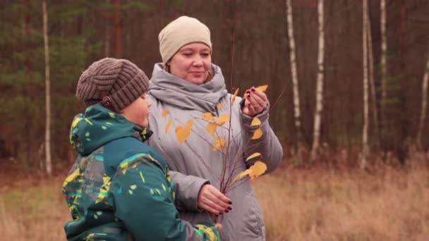 Gelukkig mam en zoon pick herfst bladeren van een takje. — Stockvideo