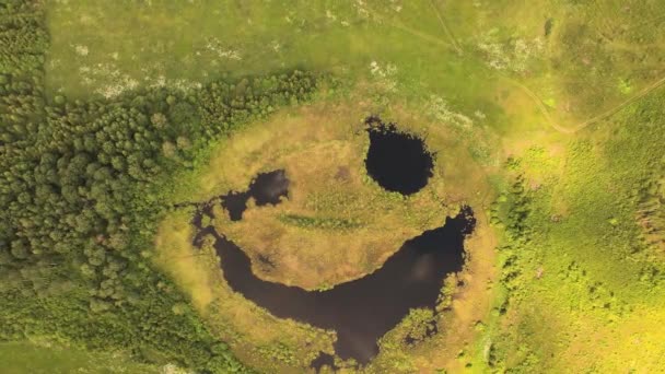 Un extraño fenómeno natural, el lago es una cara sonriente de una vista de pájaro — Vídeo de stock