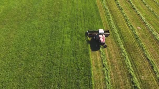 Aerial view of a combine harvester mowing grass in a green field. — Stock Video