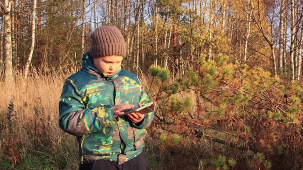 Een jongen op de achtergrond van geel gebladerte kijkt naar foto 's op een tablet. — Stockvideo