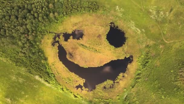 Neobvyklý přírodní jev, jezero je usmívající se tvář z ptačí perspektivy — Stock video