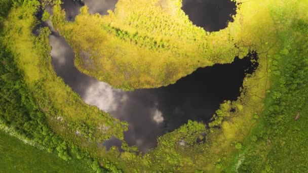 Fenómeno natural exótico, lago - cara sonriente, vista aérea. — Vídeos de Stock