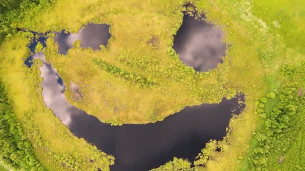 Lake - smiling face, fountain natural phenomenon, aerial view. — Stock Video
