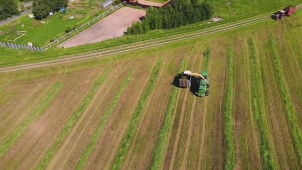 In het veld, een oogstmachine verzamelt gras en giet het in een vrachtwagen, luchtfoto. — Stockvideo