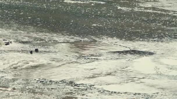 Agujeros irregulares en el asfalto, infraestructura vial dañada después de la lluvia. — Vídeos de Stock