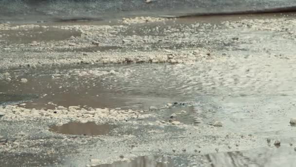 Dangerous pits after rain, badly damaged road infrastructure — Stock Video