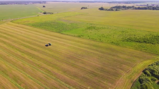 Panorama, macchine agricole sta raccogliendo nel campo, vista aerea. — Video Stock