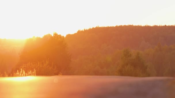 Vacker solig solnedgång, orange kvällsljus reflekteras på asfalten. — Stockvideo