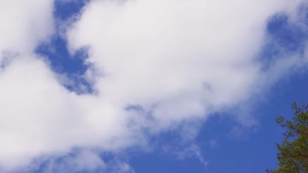 Céu azul com nuvens brancas em movimento, belo panorama. — Vídeo de Stock