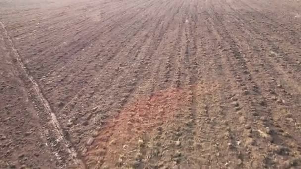 A superfície arada de um campo agrícola, vista aérea. — Vídeo de Stock