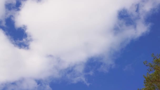 Cielo azul con hermosas nubes blancas en movimiento, panorama. — Vídeos de Stock