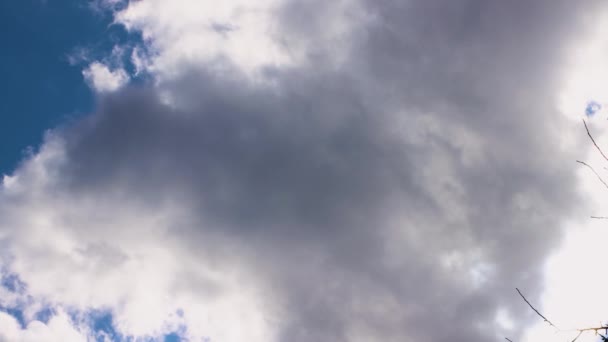 Um panorama amplo de um céu azul com nuvens brancas movendo-se lentamente. — Vídeo de Stock