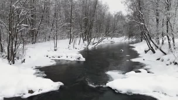 New Years snowy beautiful landscape with a non-freezing river, aerial view. — Stock Video