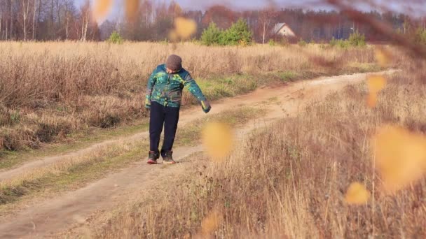 Um menino caminha ao longo de um caminho rural, chuta pedras com o pé — Vídeo de Stock