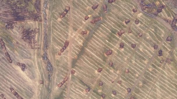 Everywhere round heaps of manure on an agricultural field, aerial view — Stock Video