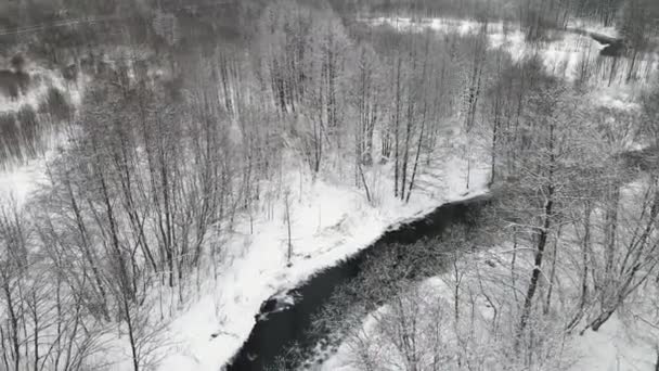 Weihnachten schneebedeckte märchenhafte Landschaft mit einem nicht zufrierenden Fluss, Luftaufnahme. — Stockvideo