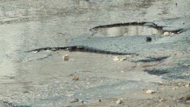 Asfalttaki yuvarlak çukurlar, yağmurdan sonra hasar gören yol altyapısı.