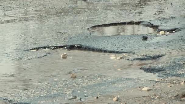 Okrągłe dziury na asfalcie, uszkodzona infrastruktura drogowa po deszczu. — Wideo stockowe