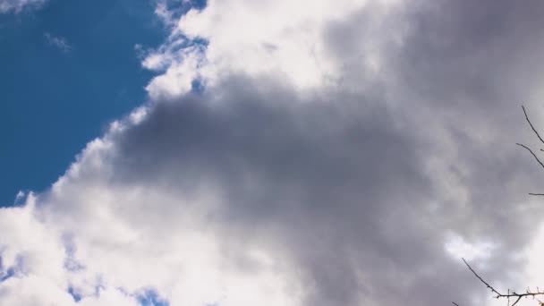 Krásné panorama modré oblohy s pomalu se pohybujícími bílými mraky. — Stock video