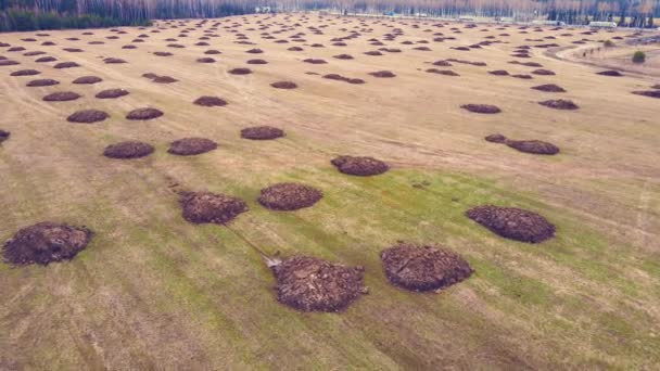 Round heaps of manure lie on an agricultural field, aerial view. — Stock Video