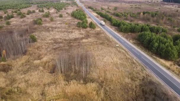 Não uma estrada rural grande em um campo com abetos verdes, vista aérea — Vídeo de Stock