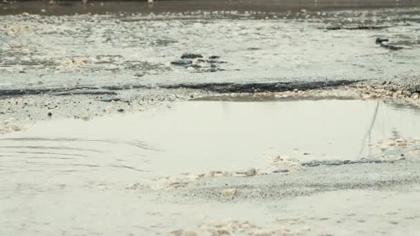 Pozos peligrosos con agua en mal tiempo, infraestructura vial gravemente dañada. — Vídeo de stock