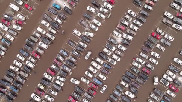 Muchos coches están en filas rectas en el estacionamiento, vista aérea. — Vídeo de stock