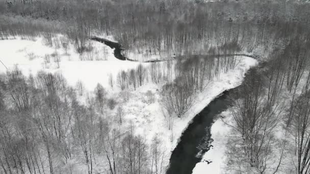 Χριστούγεννα υπέροχο χιονισμένο τοπίο με ένα παγωμένο ποτάμι, εναέρια άποψη. — Αρχείο Βίντεο