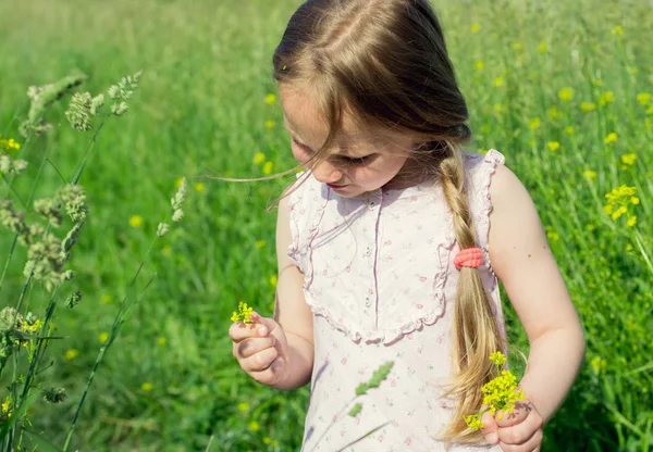 Klein meisje In de weide veld plukken bloemen — Stockfoto