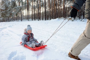 Baba çocuğunu kızakla çekiyor. Karlı ormanda yürüyor..