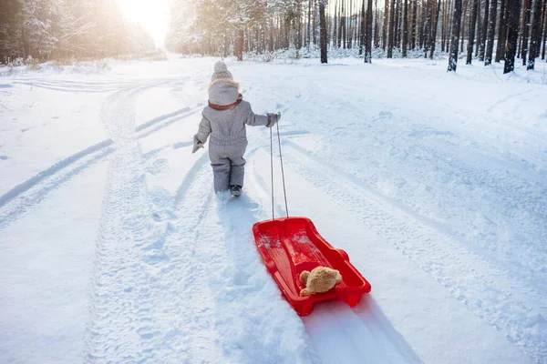 Rear View Child Pulling Plastic Sled Snowy Forest — Stock Photo, Image