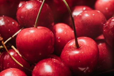 Taze kiraz meyvelerini kapatın..