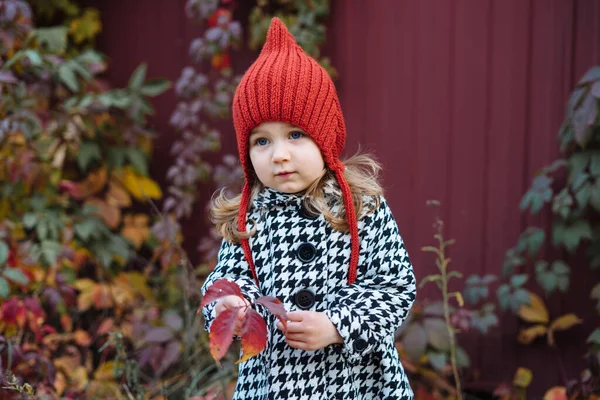 Kleine Peuter Meisje Rood Gebreide Hoed Staande Herfst Landschap — Stockfoto