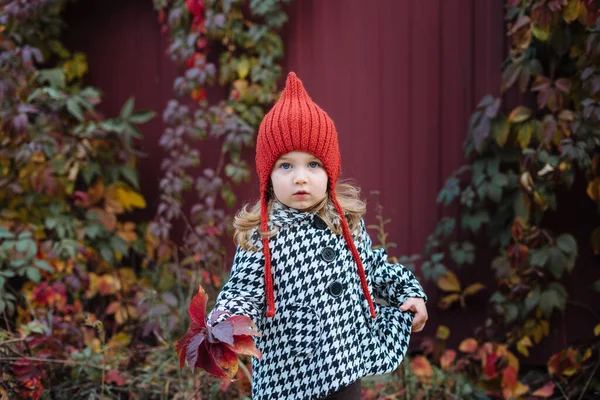 Маленькая Девочка Красном Трикотаже Стоящая Осеннем Пейзаже — стоковое фото
