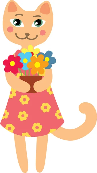 Kitty bir tencerede çiçekli