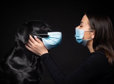 Labrador Retriever köpeğinin portresi. Koruyucu bir tıbbi maske takmış, bir de kadın sahibi var. Fotoğraf stüdyosunda çekilmişti.