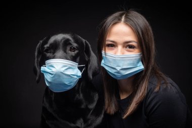 Labrador Retriever köpeğinin portresi. Koruyucu bir tıbbi maske takmış, bir de kadın sahibi var. Fotoğraf stüdyosunda çekilmişti.