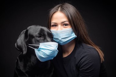 Labrador Retriever köpeğinin portresi. Koruyucu bir tıbbi maske takmış, bir de kadın sahibi var. Fotoğraf stüdyosunda çekilmişti.